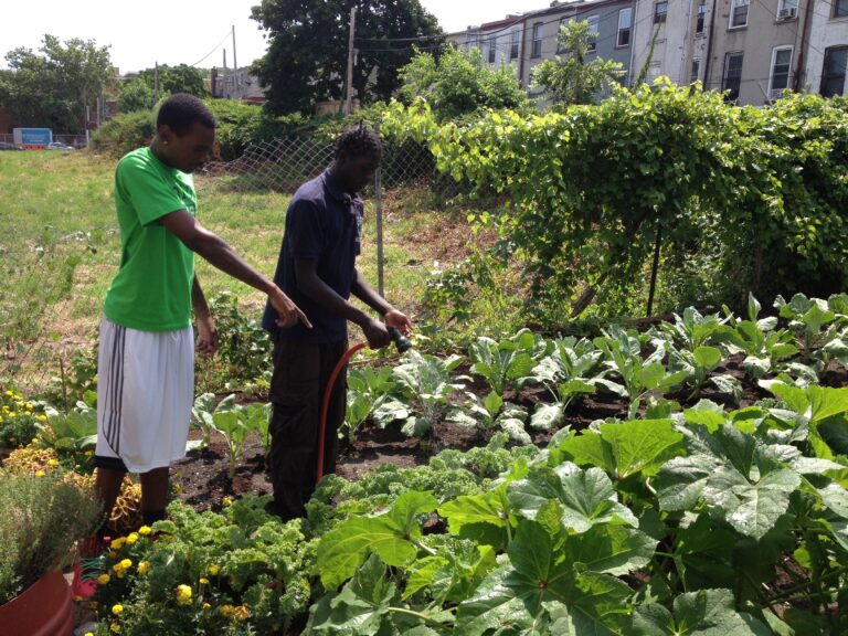 SYEP Youth in the Garden