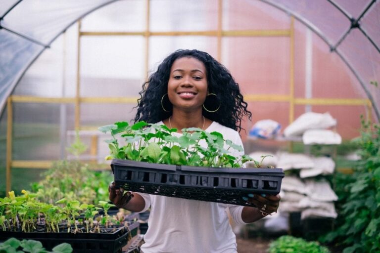 The Wave –  Paving The Road To Better Eating