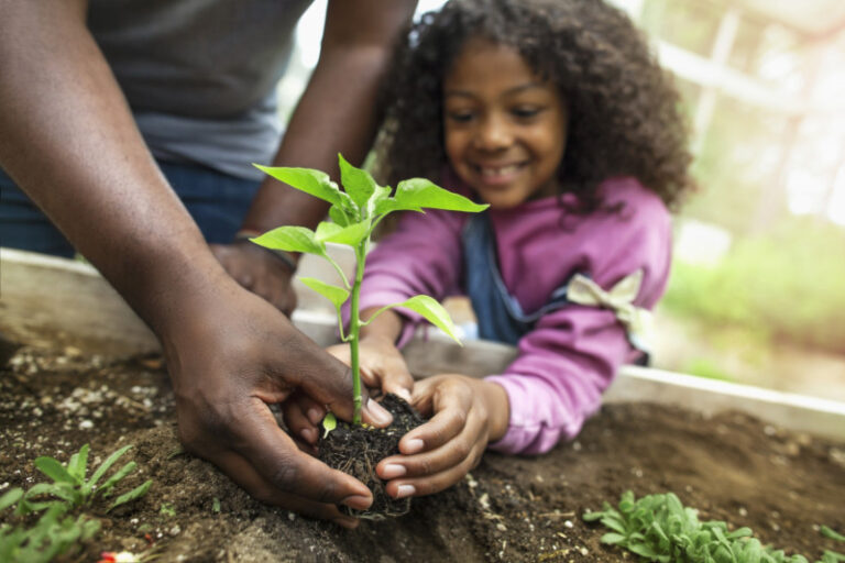 Earth Day – Volunteer Open Garden – Arverne East, Far Rock and Saratoga Farms